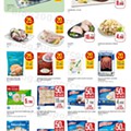 15 a 28 janeiro el corte ingles p10.jpg